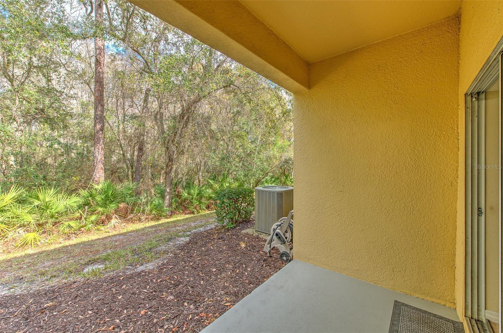 20223 Indian Rosewood Dr photo 5