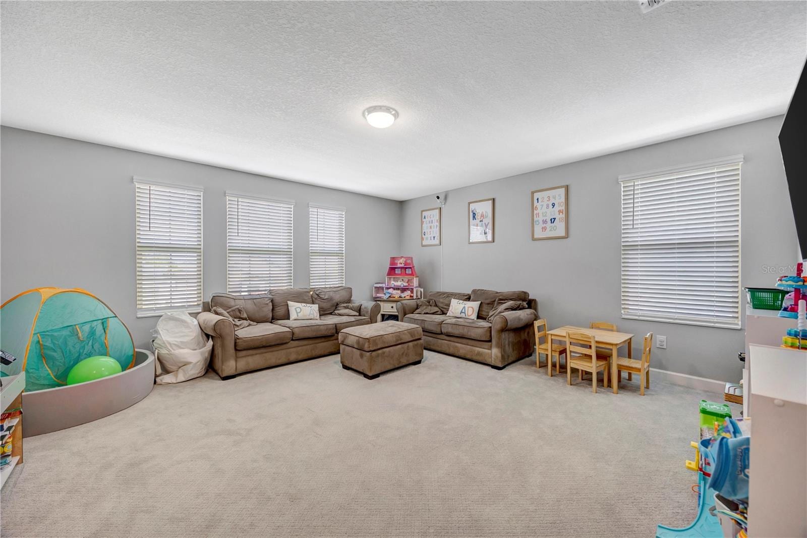 13223 Satin Lily Dr photo 5