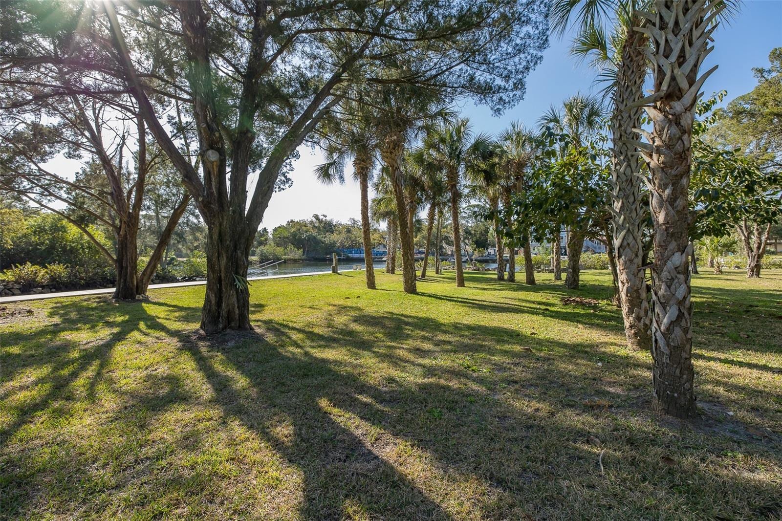 14616 Blessing Ln photo 3