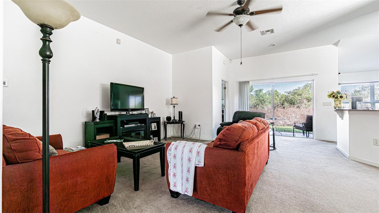 29407 Snap Hook Dr photo 5