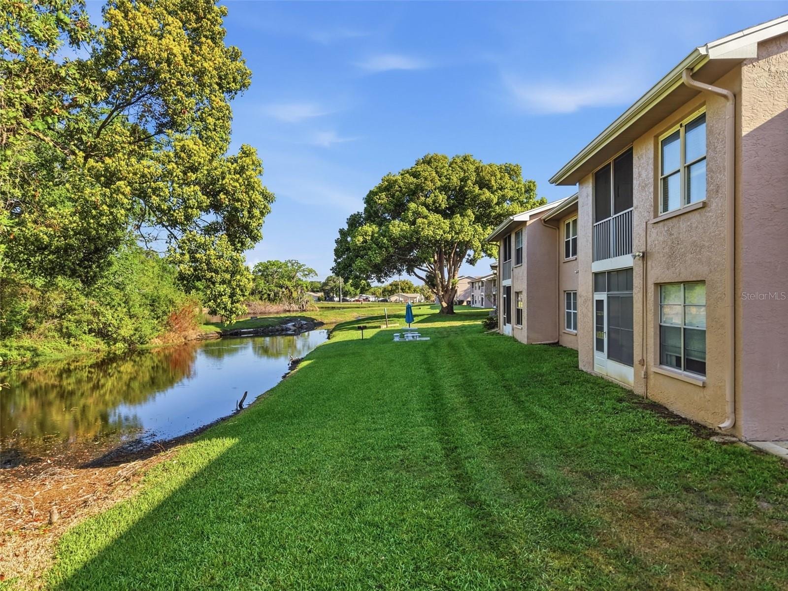 4833 Myrtle Oak Dr #12 photo 2