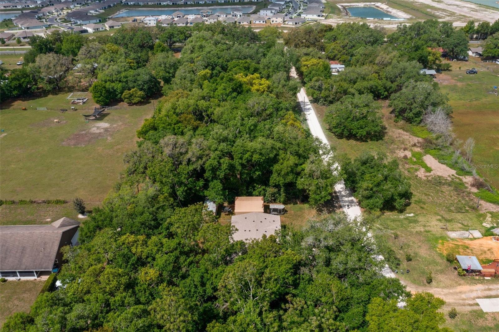 38616 Coleen Ave photo 4