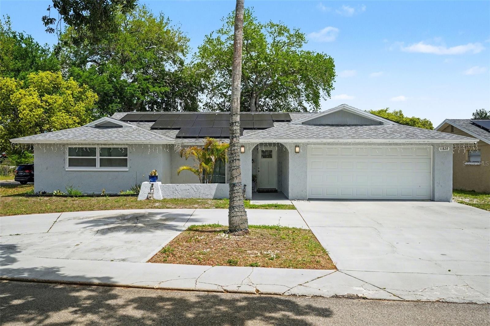 11828 Bingham Dr photo 4