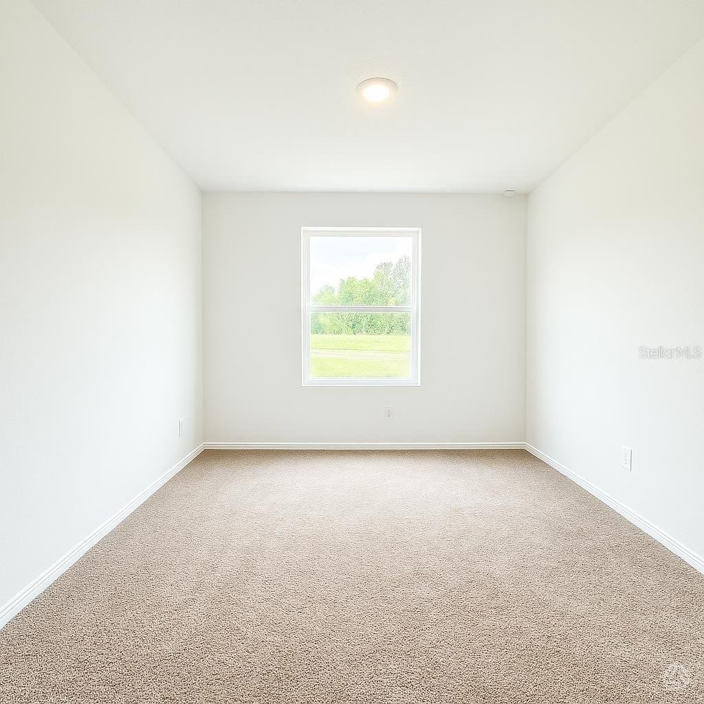 13111 Sassafras Trail photo 3