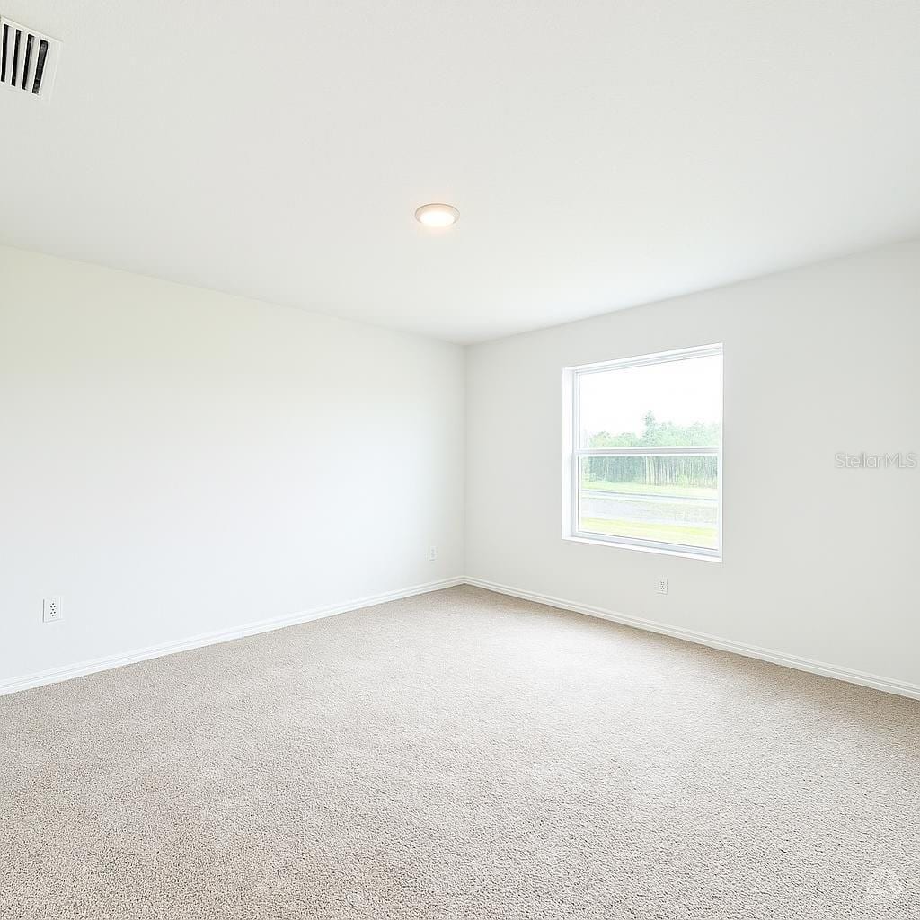 13111 Sassafras Trail photo 4