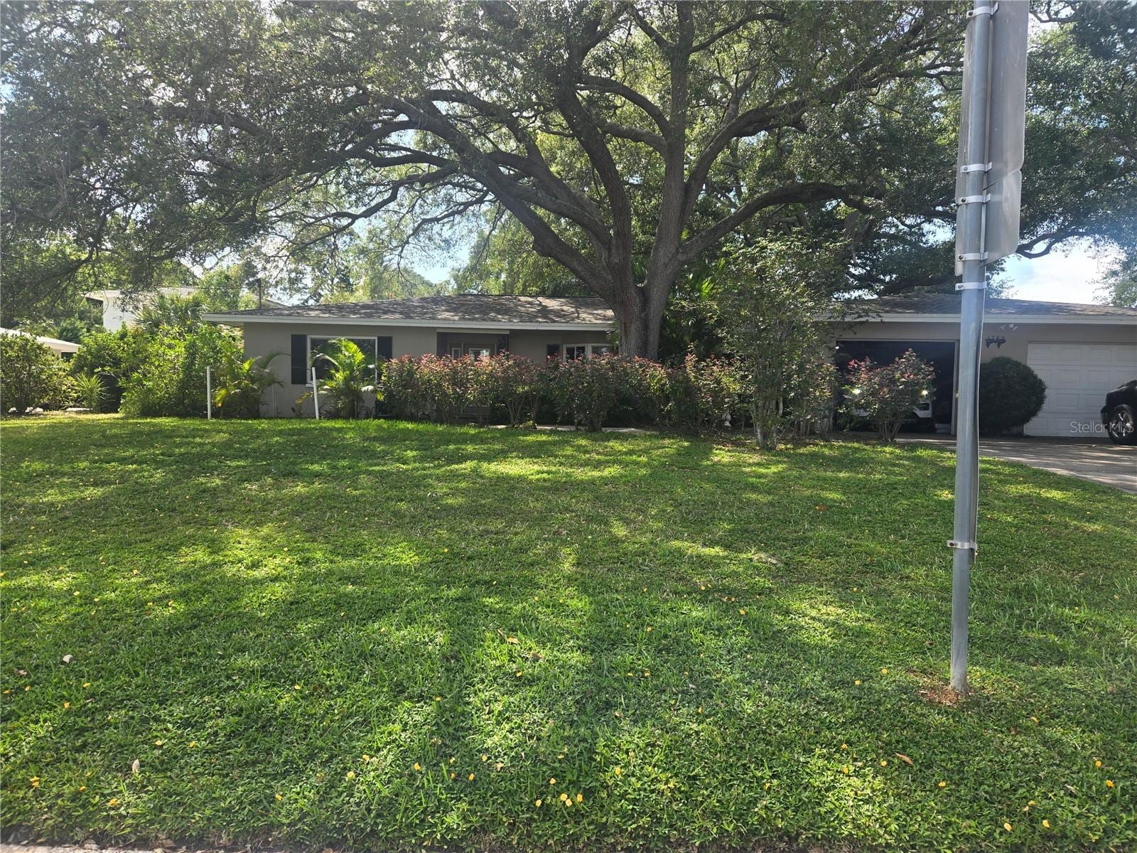 1704 Cypress Ave photo 3