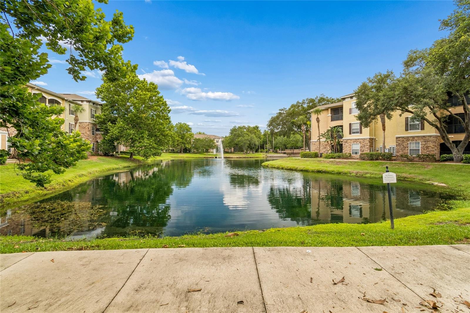 10203 Courtney Palms Blvd #103 photo 4
