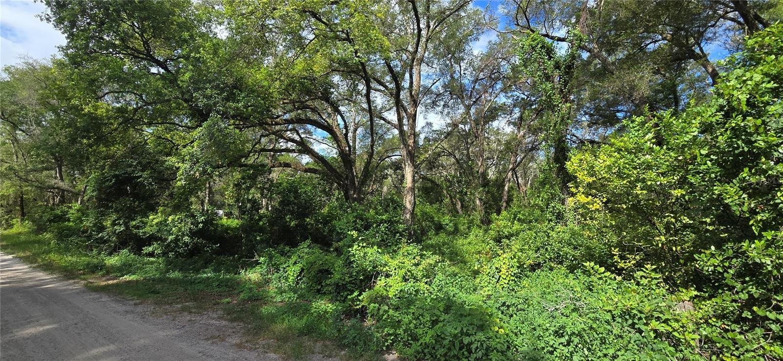 15621 Daybreeze Dr photo 4