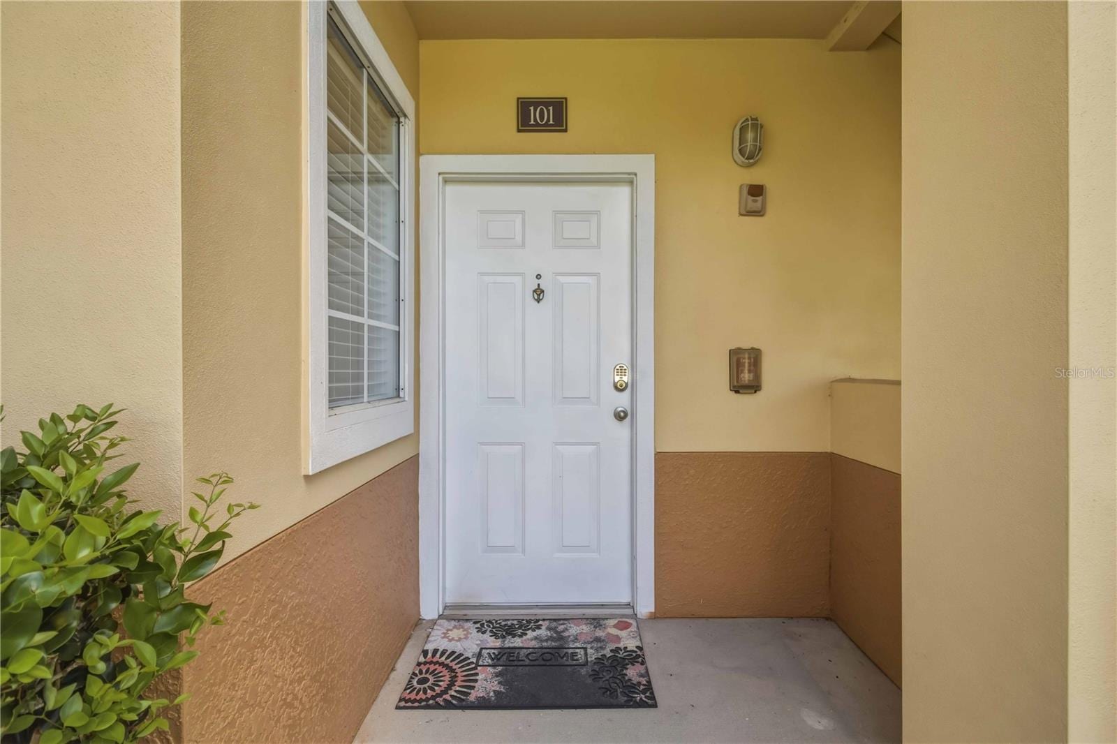 3005 Chianti CT #101 photo 5