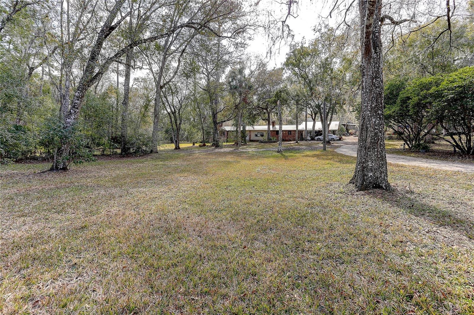 20490 Pinewood Dairy Rd photo 5