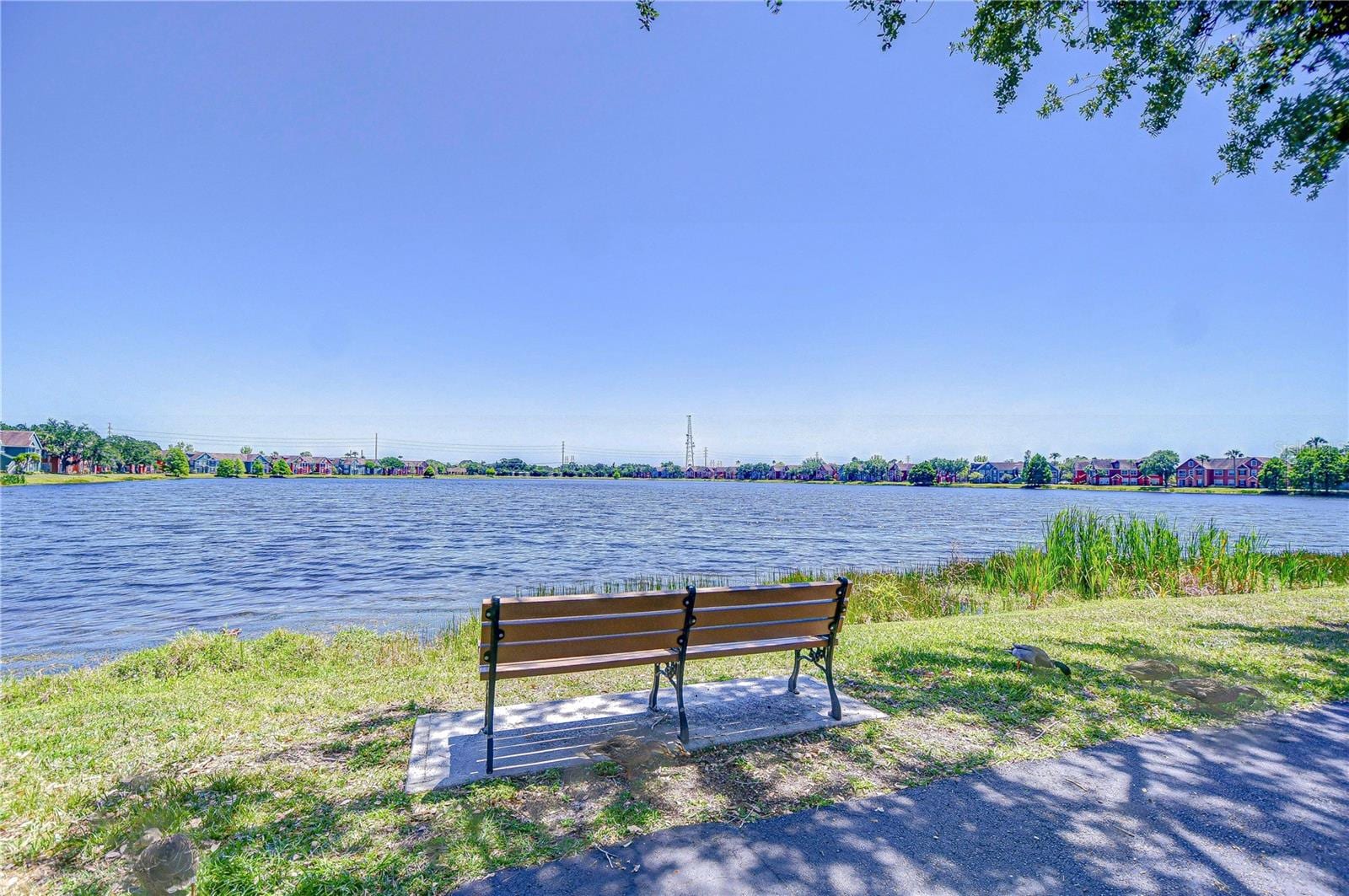 9304 Lake Chase Island Way photo 5