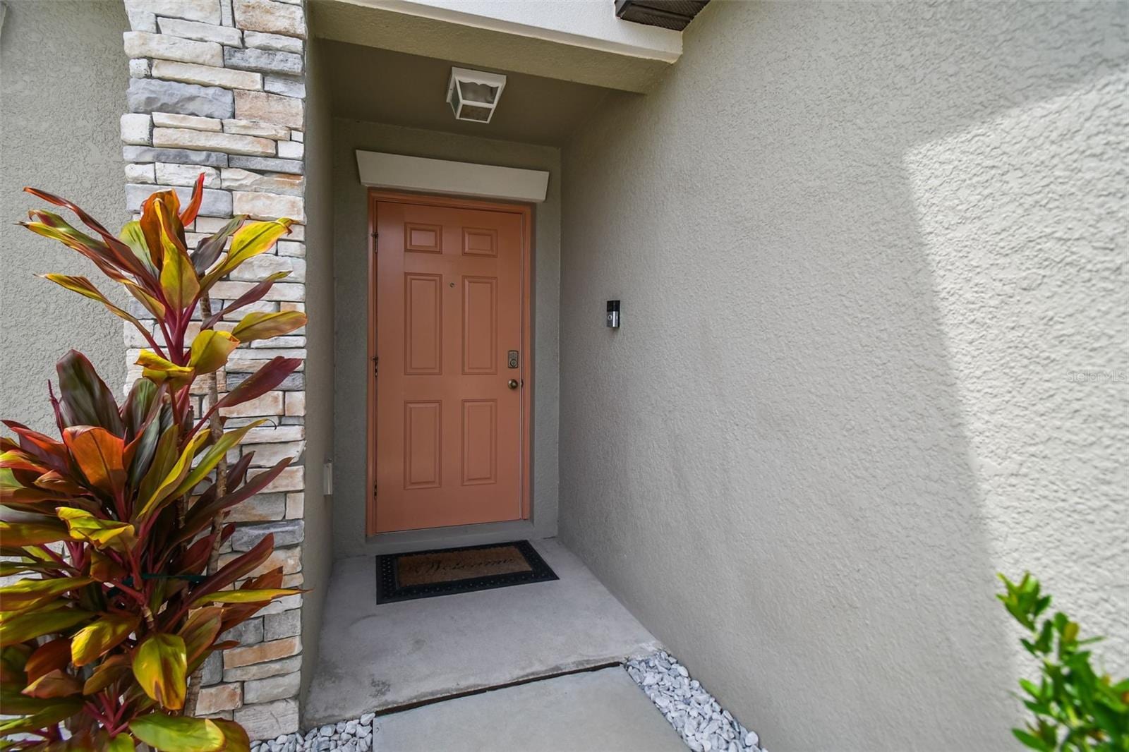 13603 Wild Ginger St photo 3