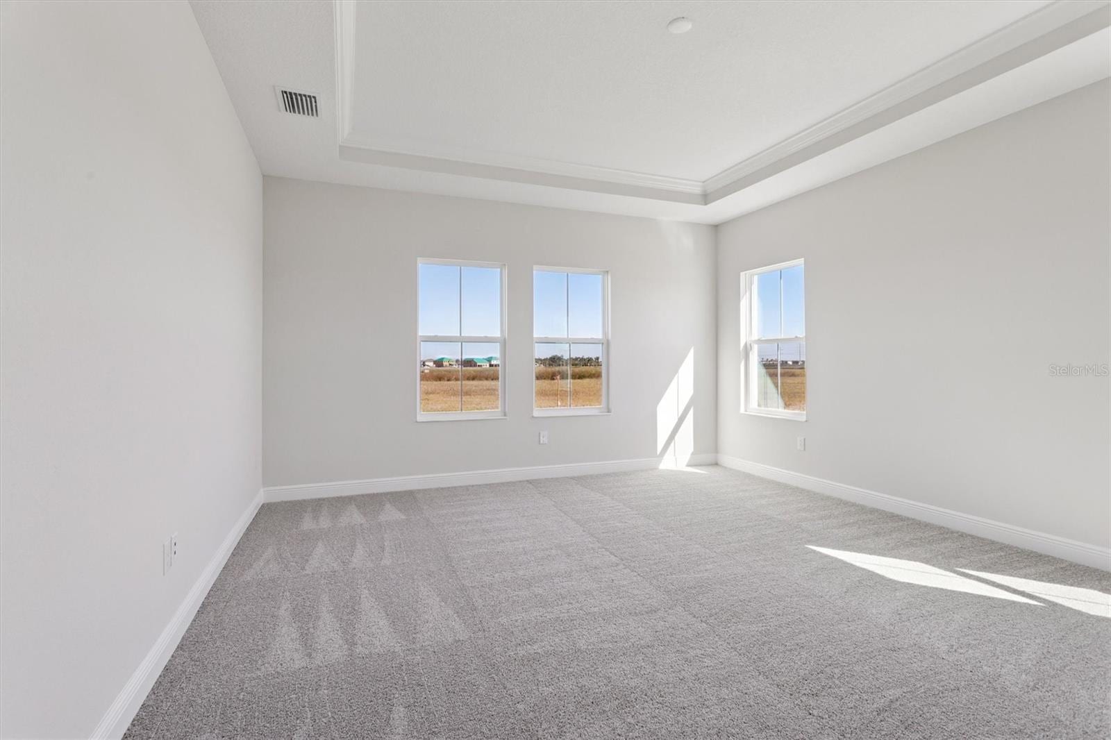 10743 Spring Sapling Cir photo 5