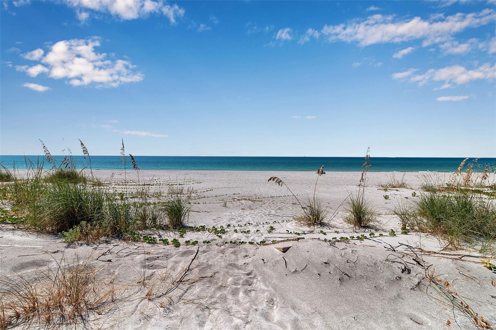 2819 Gulf Of Mexico Dr photo 4