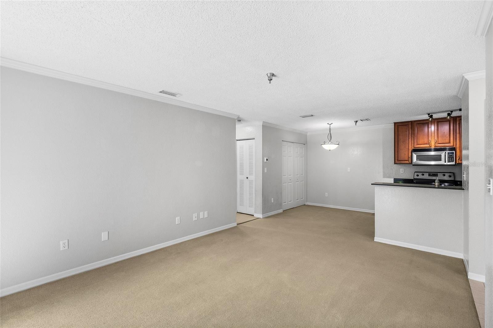 10263 Gandy Blvd N #213 photo 5