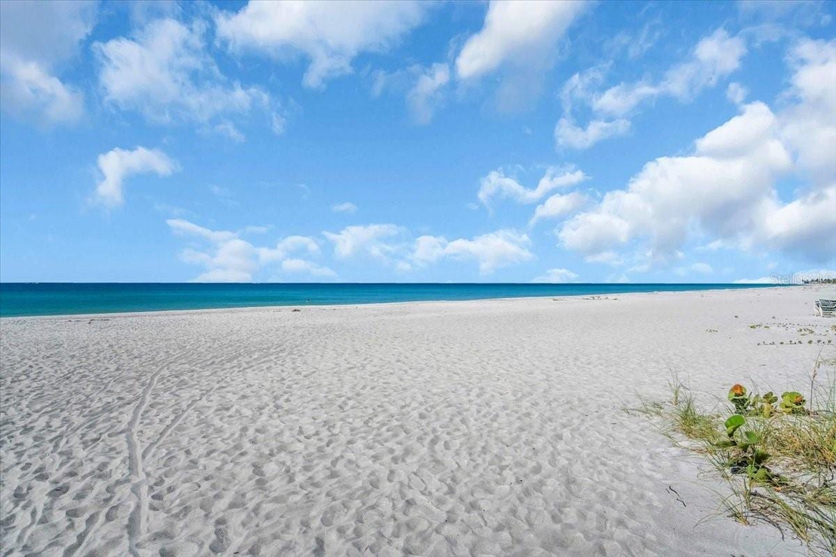 5841 Gulf Of Mexico Dr #244 photo 3