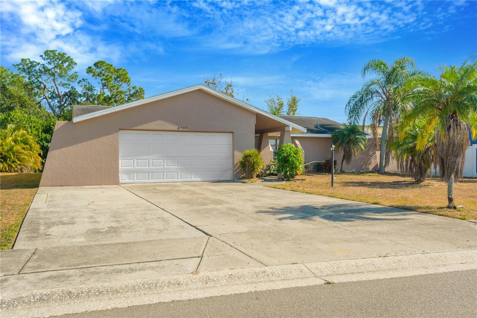 6507 Manila Palm Way photo 2