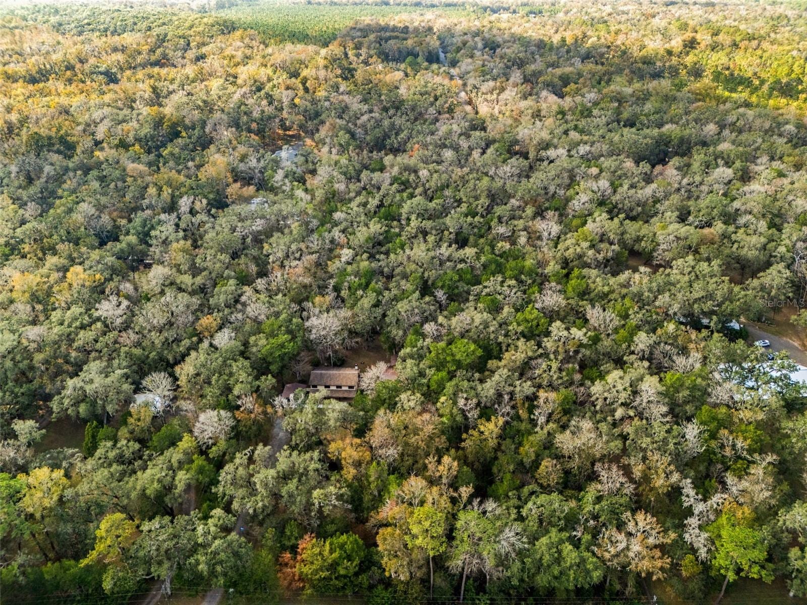 12047 Timber Ln photo 2