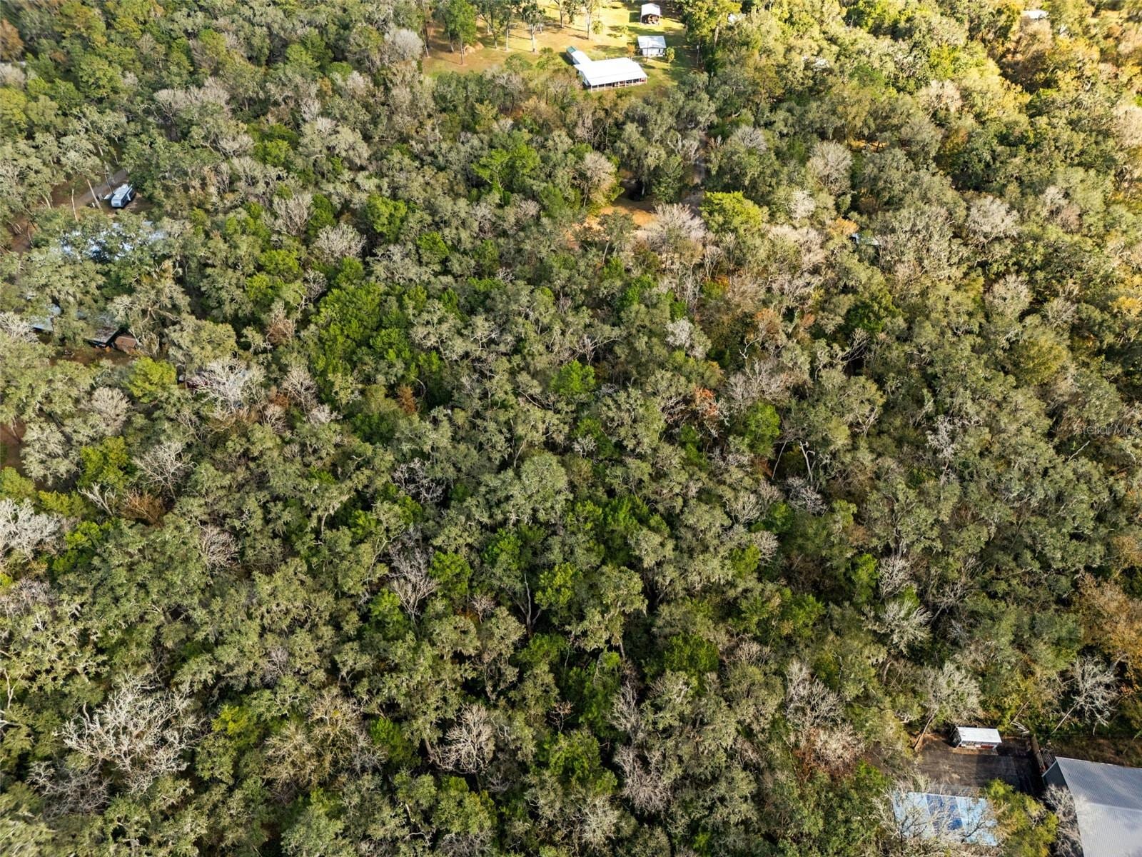 12047 Timber Ln photo 3