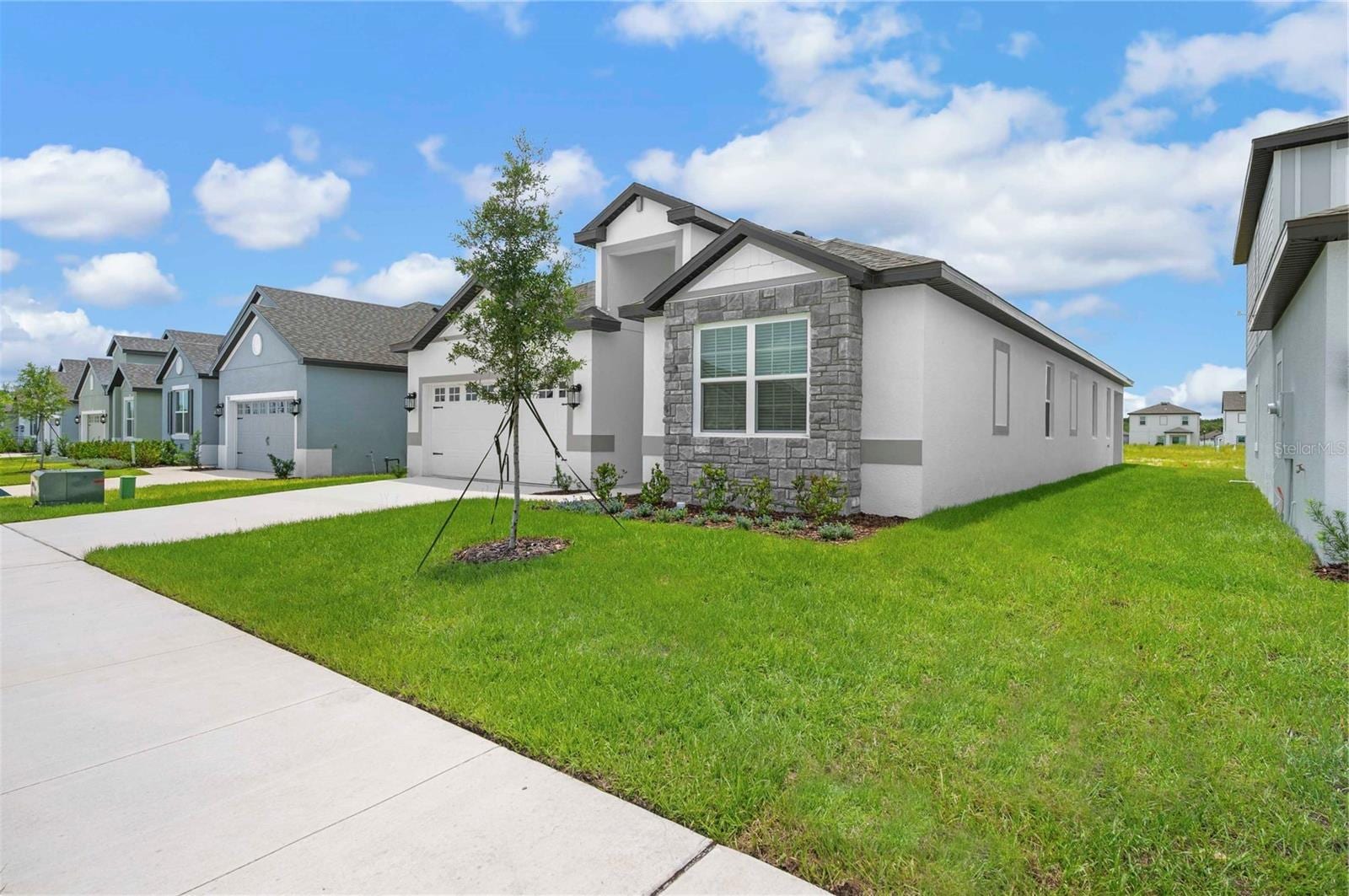 3360 Chinotto Dr photo 3