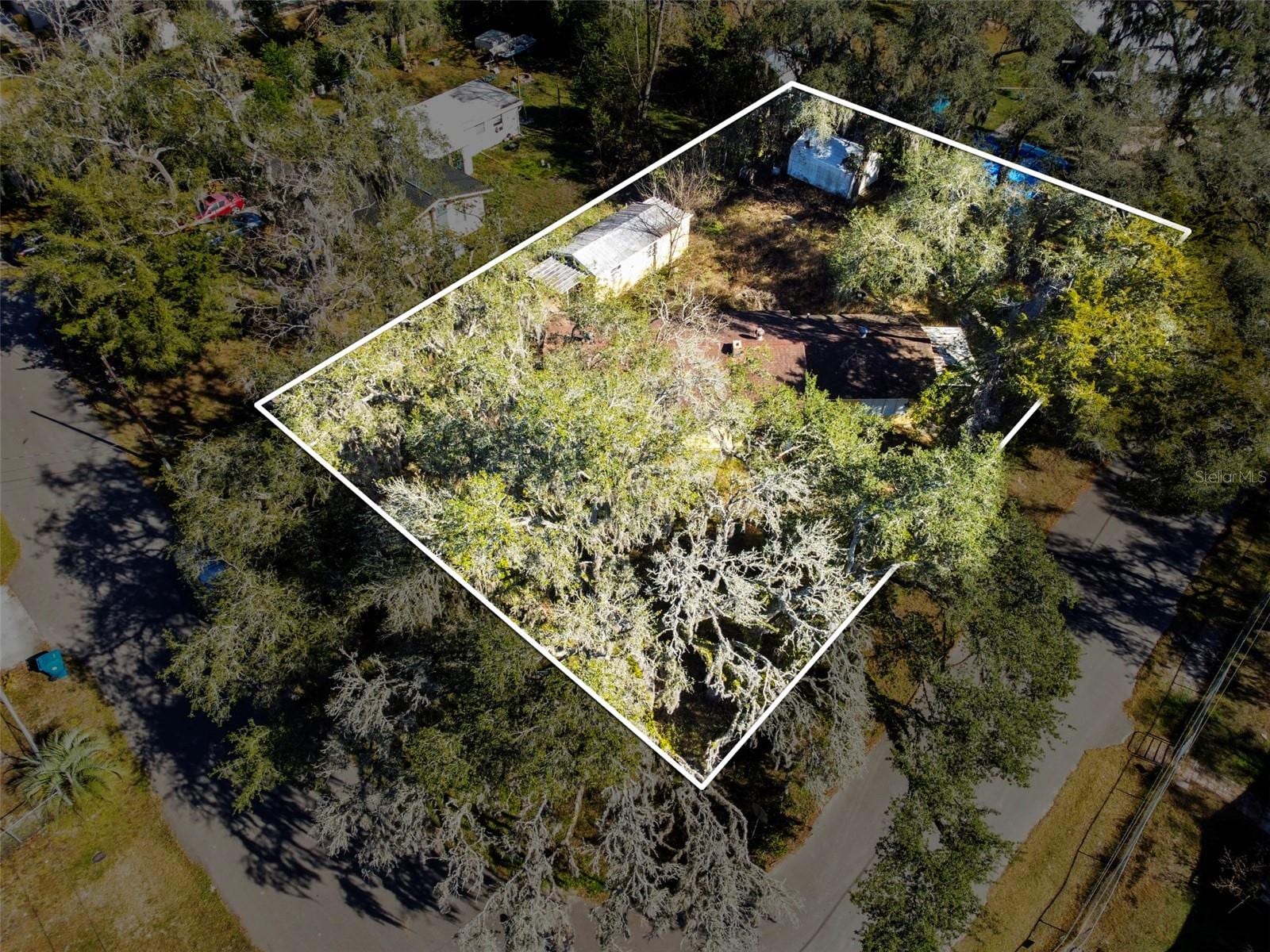 33073 Cassandra Way photo 2