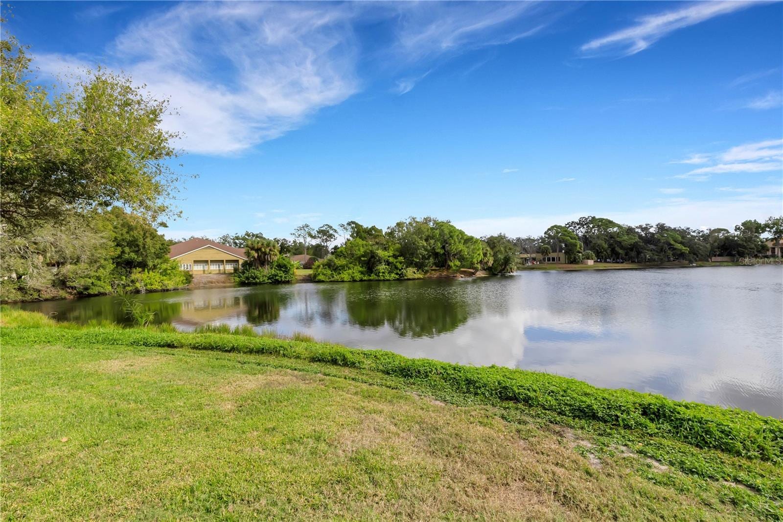 3242 Ringwood Mdw #76 photo 4