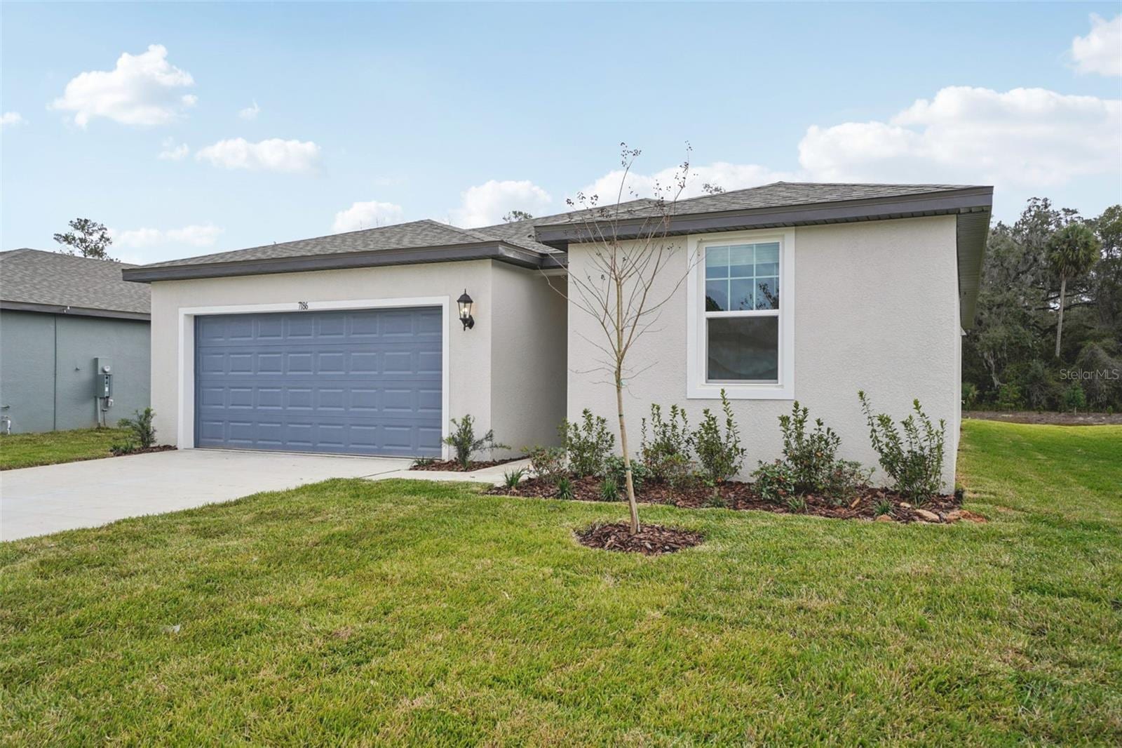 7186 Ray Creek Dr photo 3