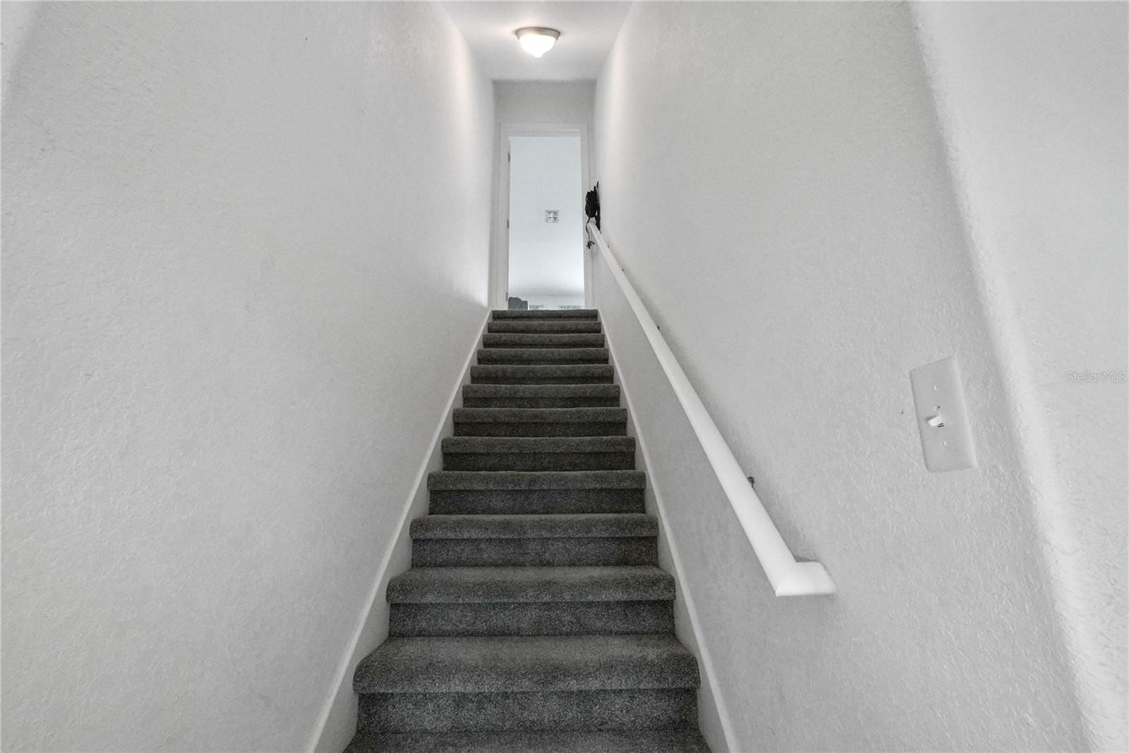 3423 Palometa Dr photo 3