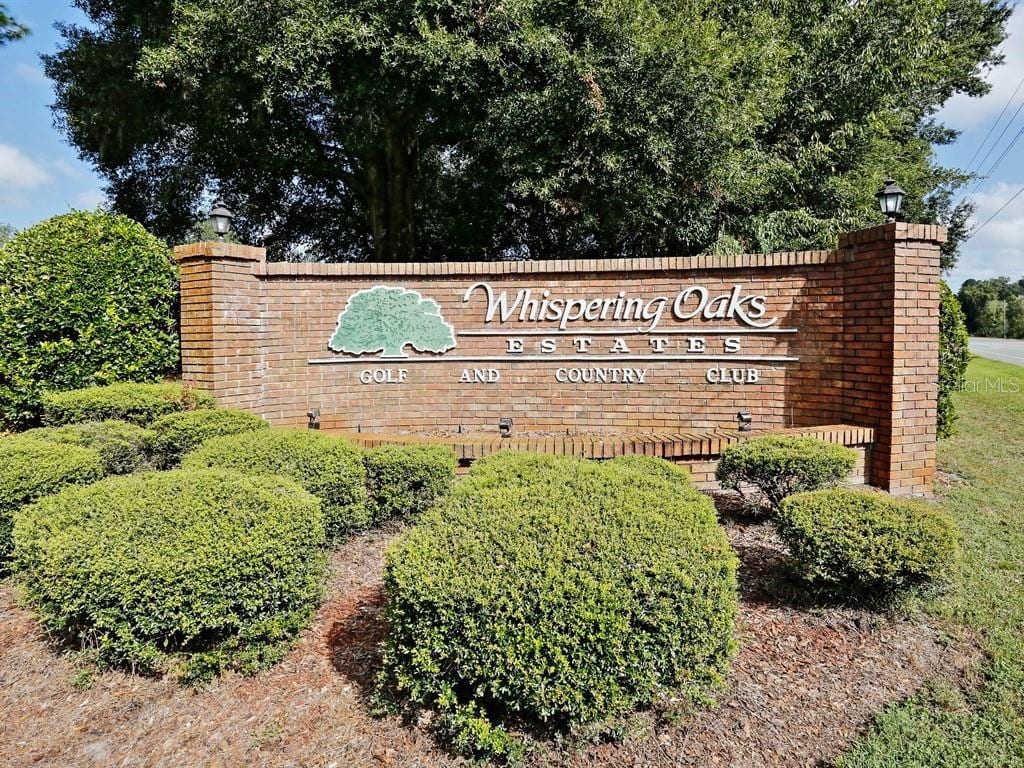 35077 Whispering Oaks Blvd photo 2