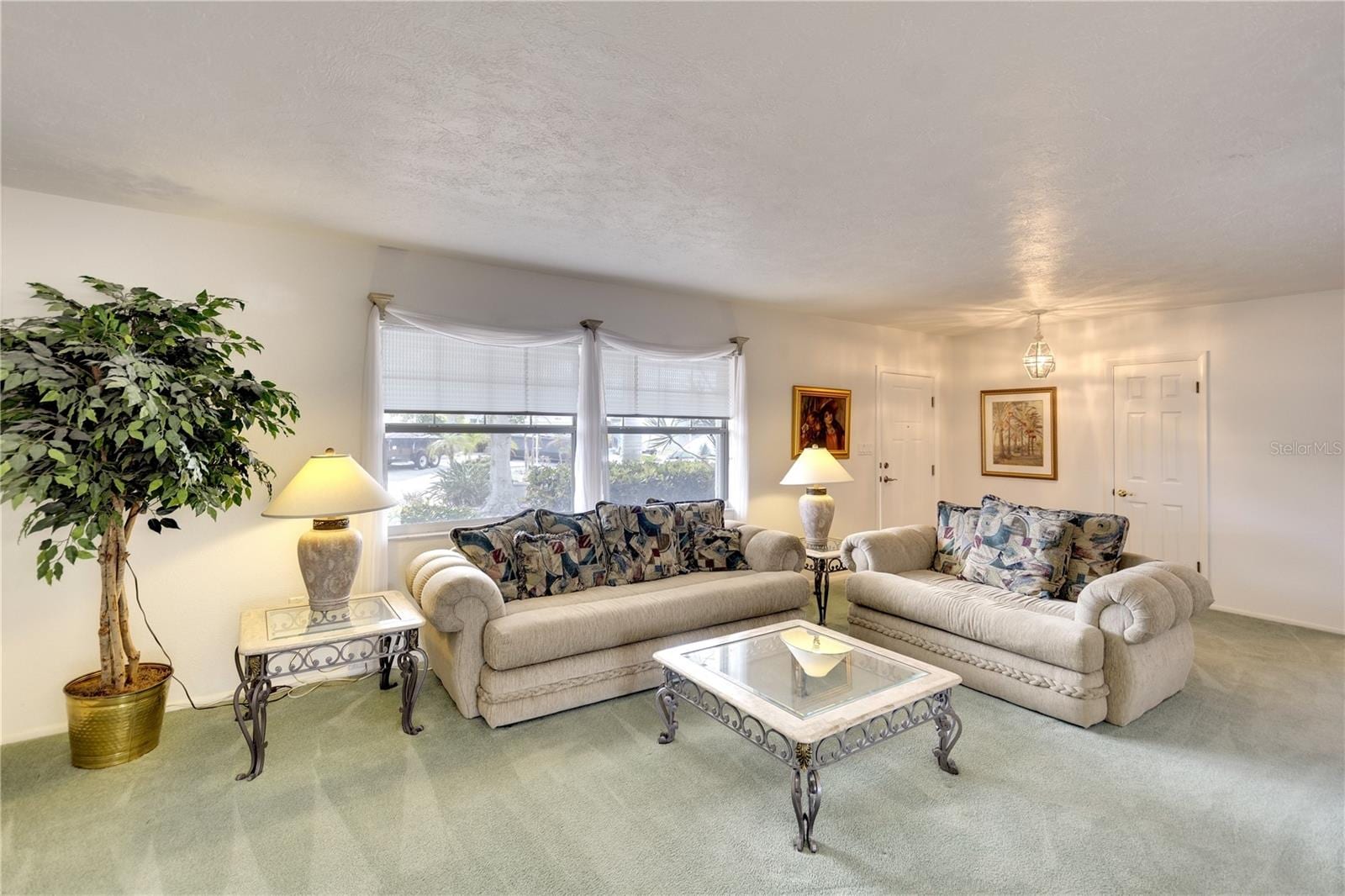 9820 Royal Palm Dr photo 3