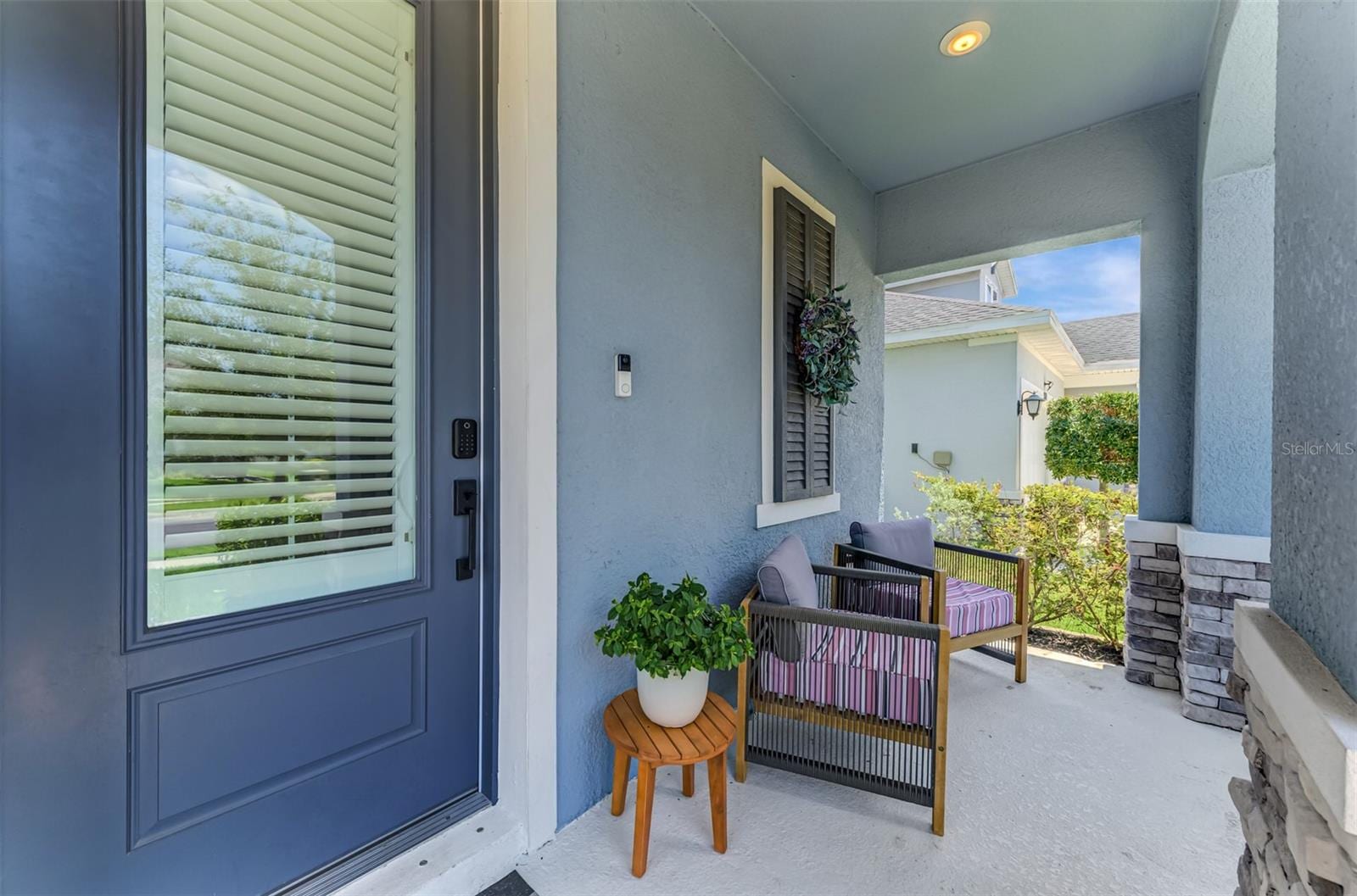 5523 Spanish Moss CV photo 5