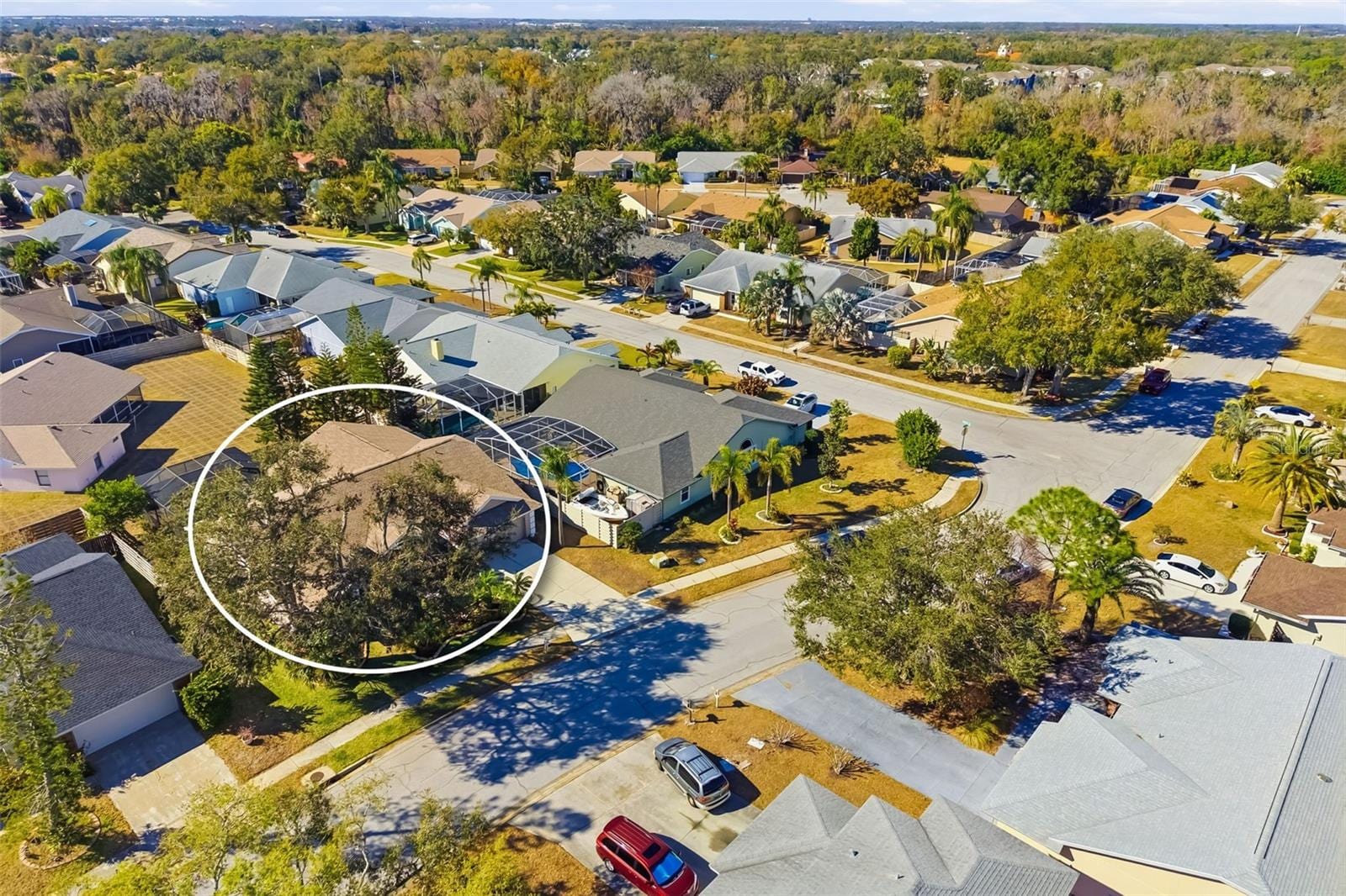 8072 Glenbrooke Ln photo 5