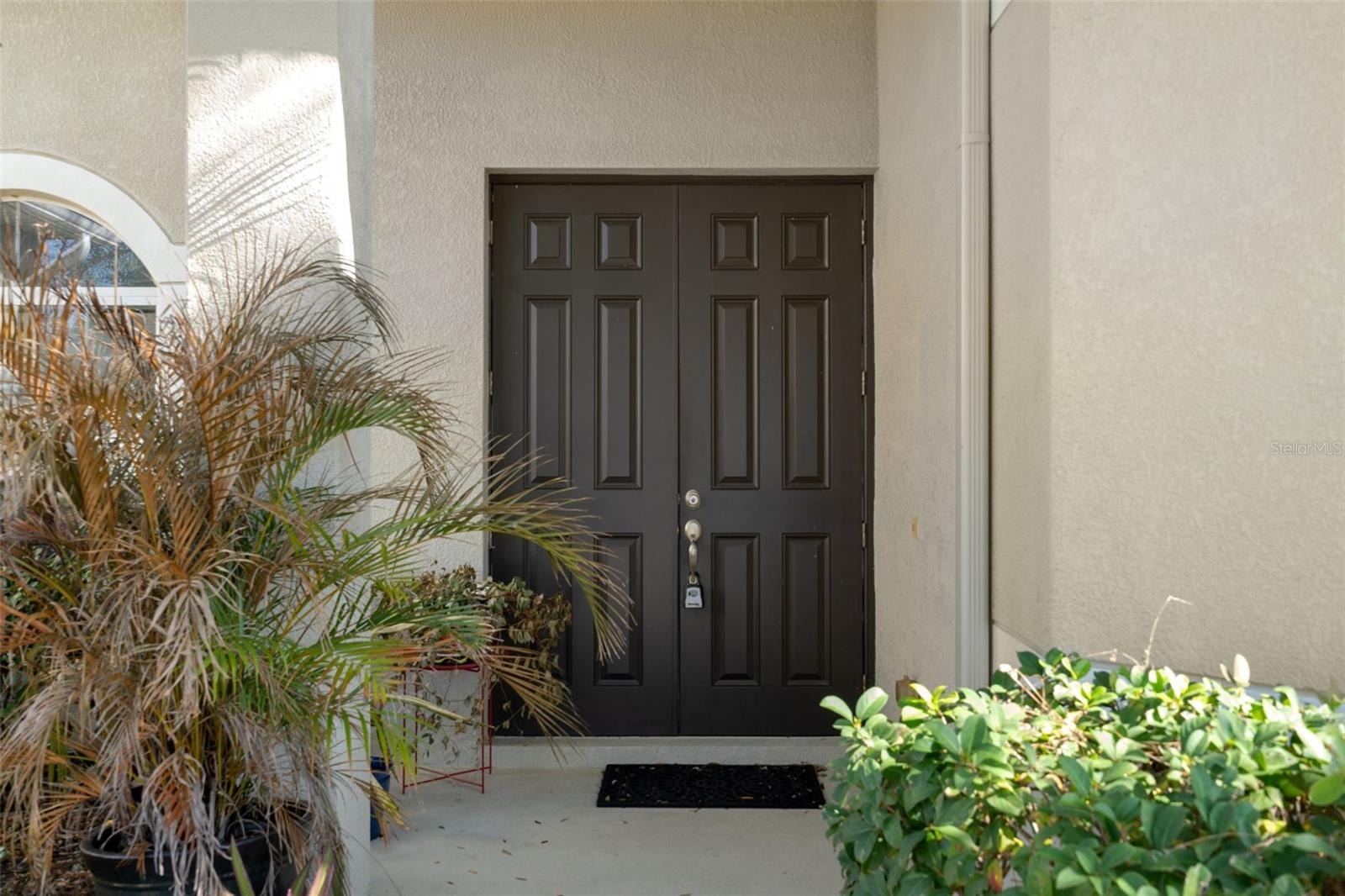10048 Cleghorn Dr photo 3