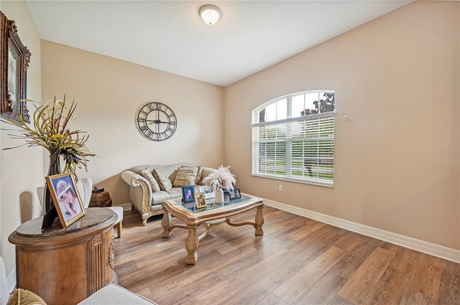 6339 Alamanda Hills Dr photo 4