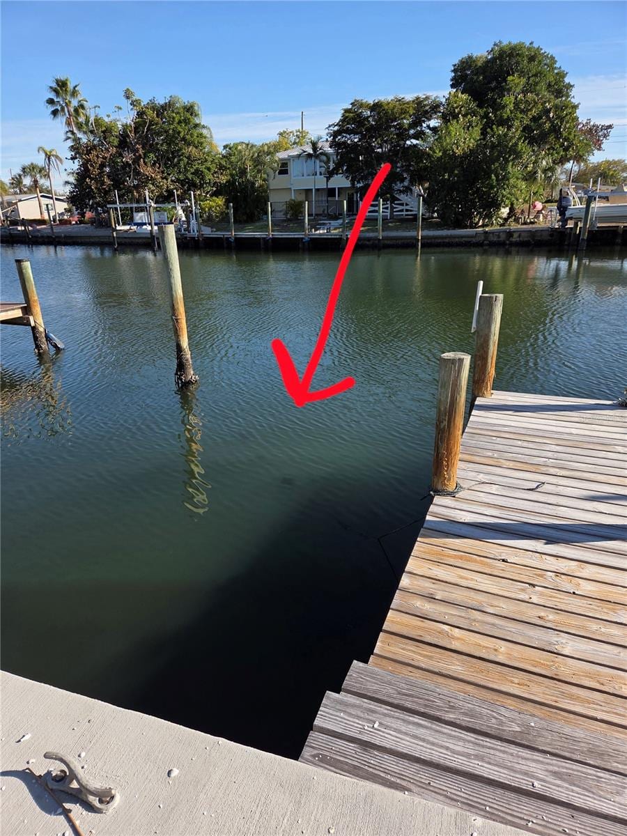 10215 Manatee Ave W #1 photo 5