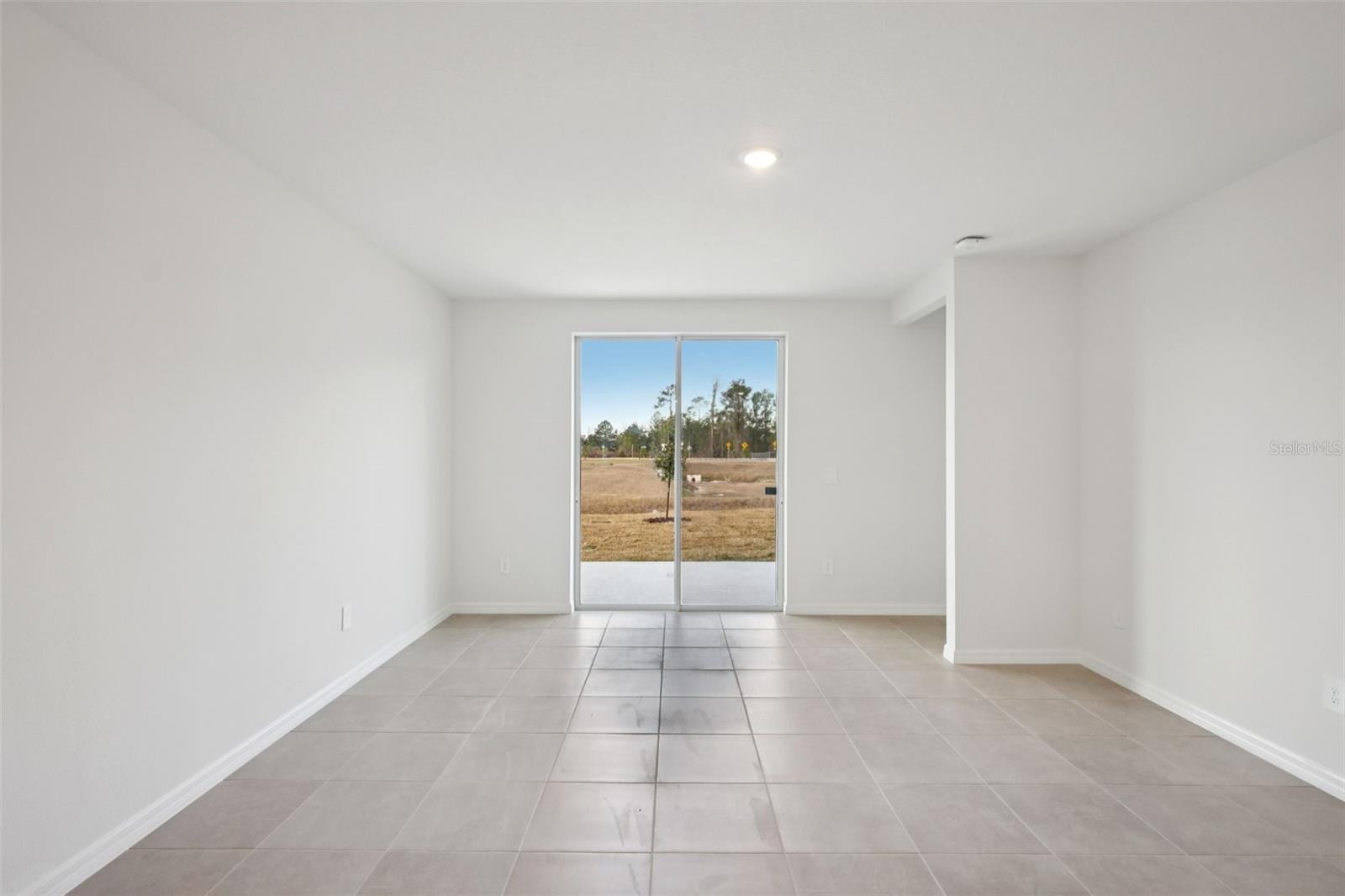 7491 Mia Vine Dr photo 5