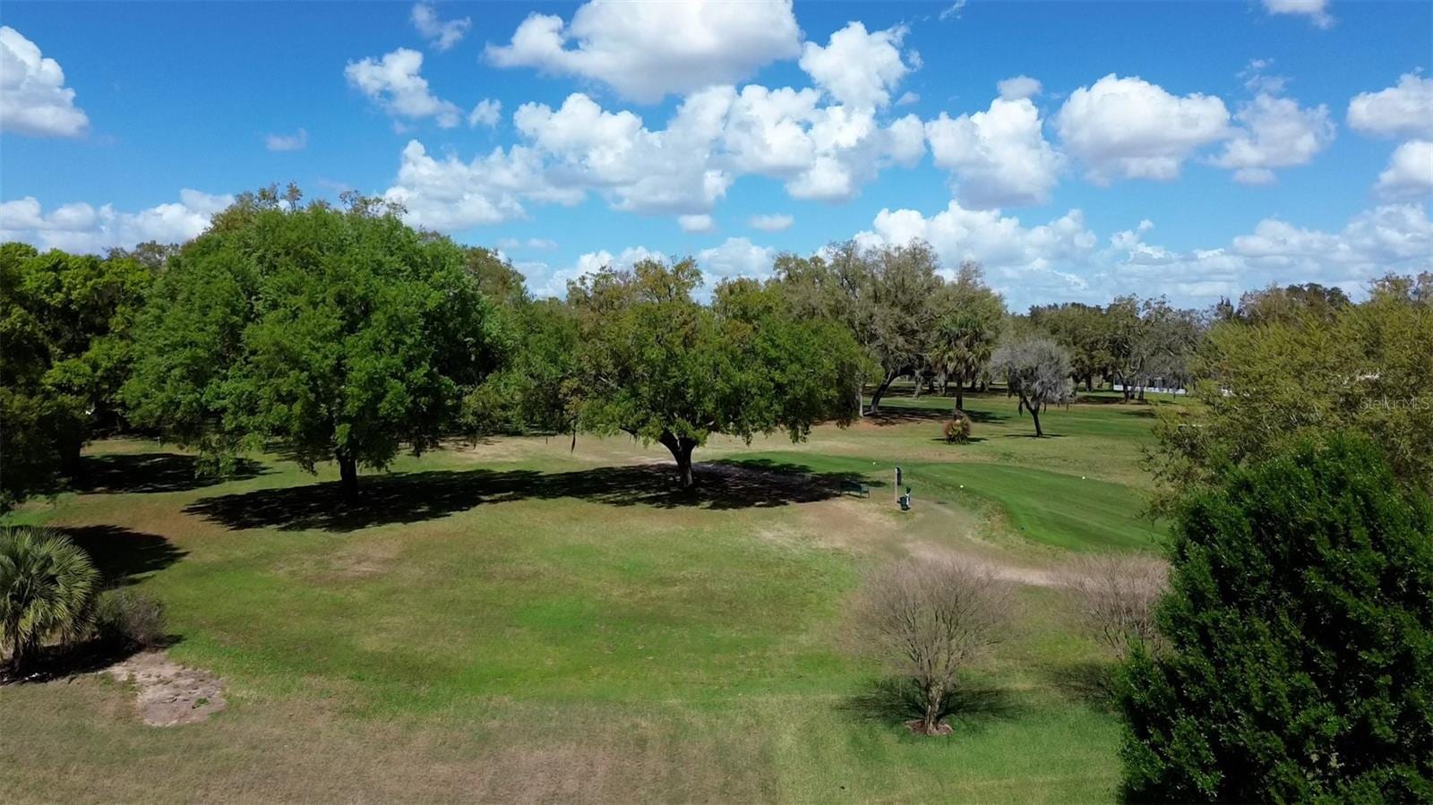 221 Golf Aire Blvd photo 4