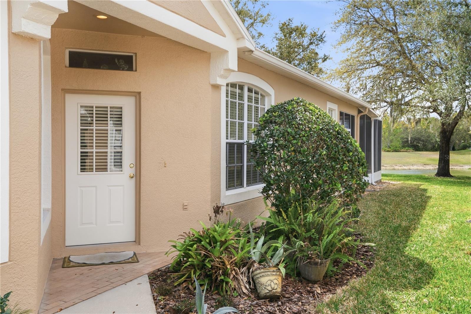 19112 White Wing Pl photo 4
