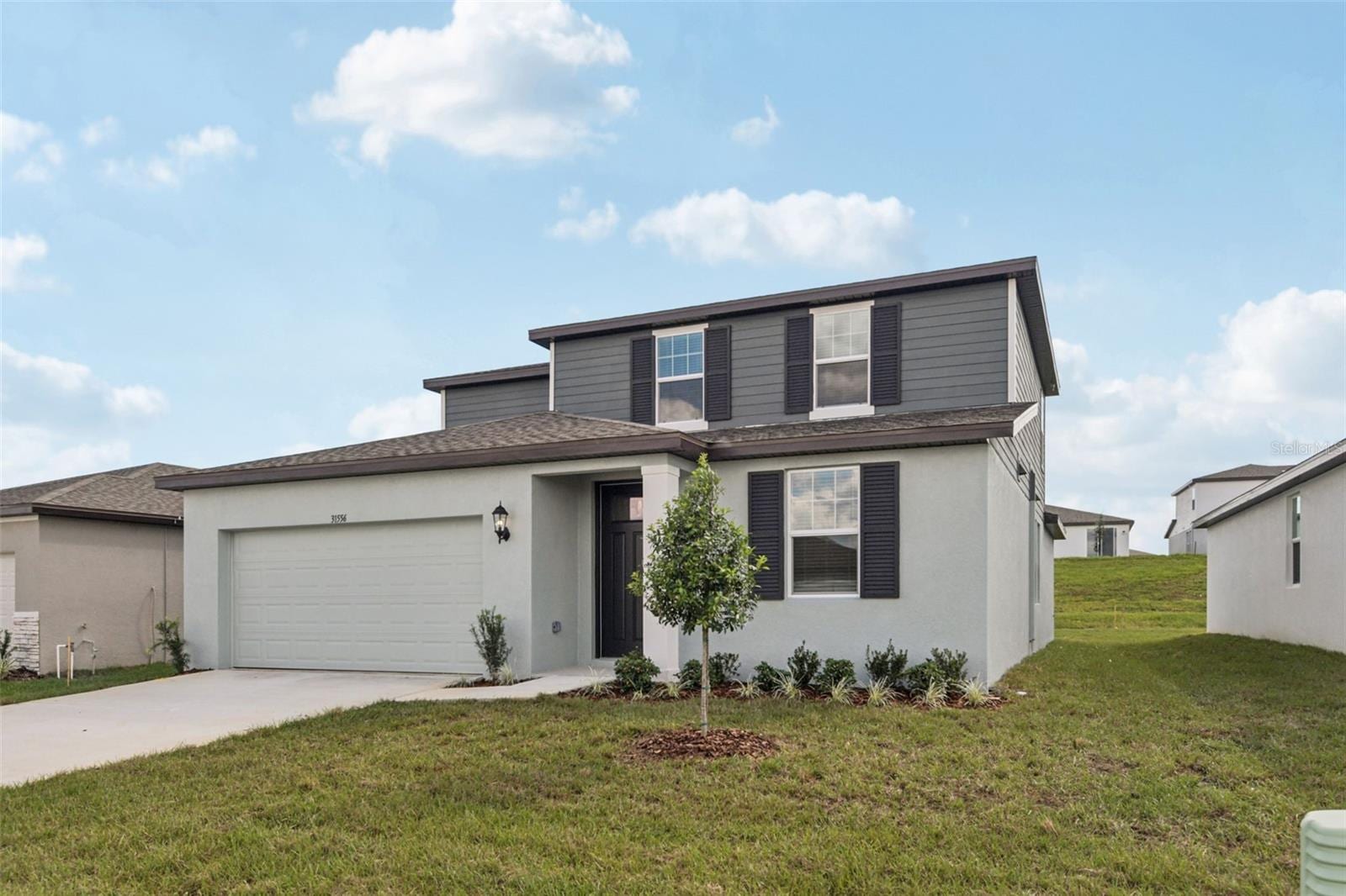 31556 Malbec Dr photo 3