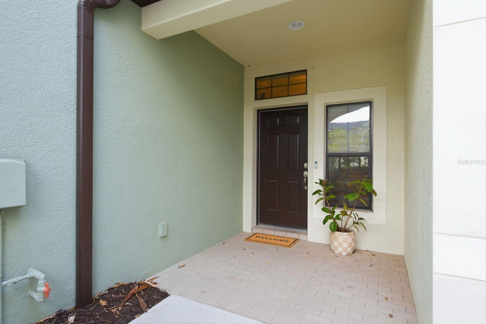 11636 Crowned Sparrow Ln photo 4
