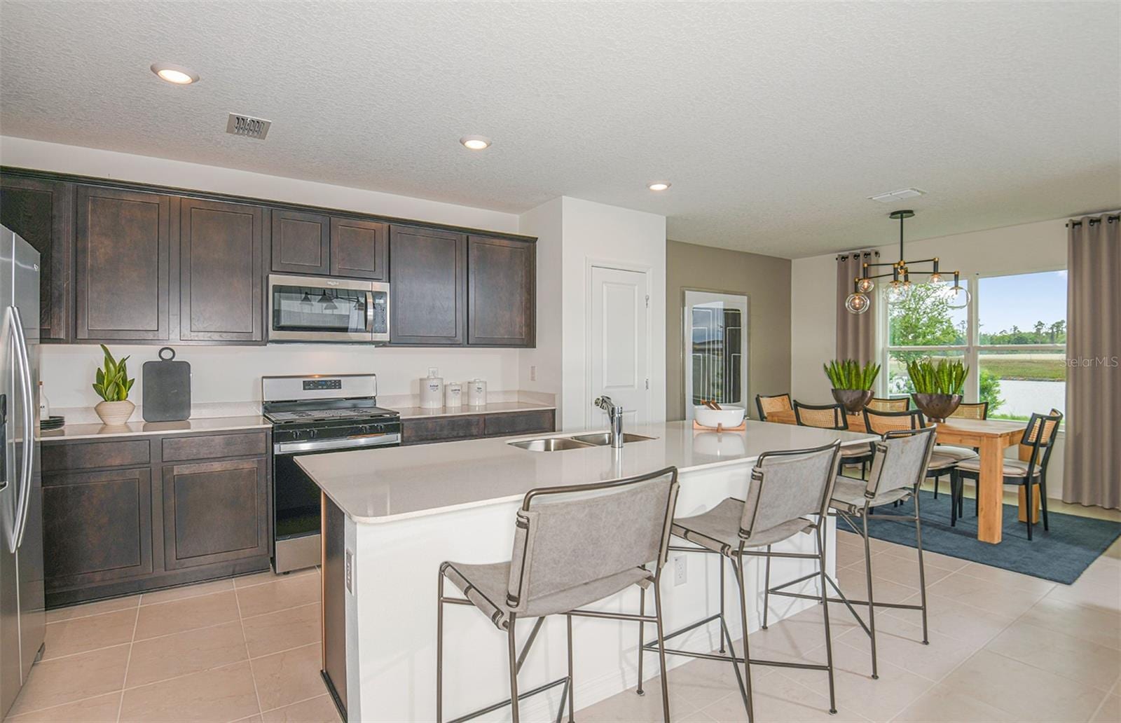 9877 Trellis Vine Way photo 4