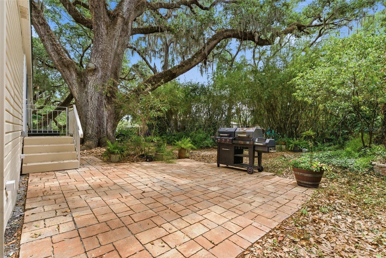 9101 Wood Terrace Dr photo 3