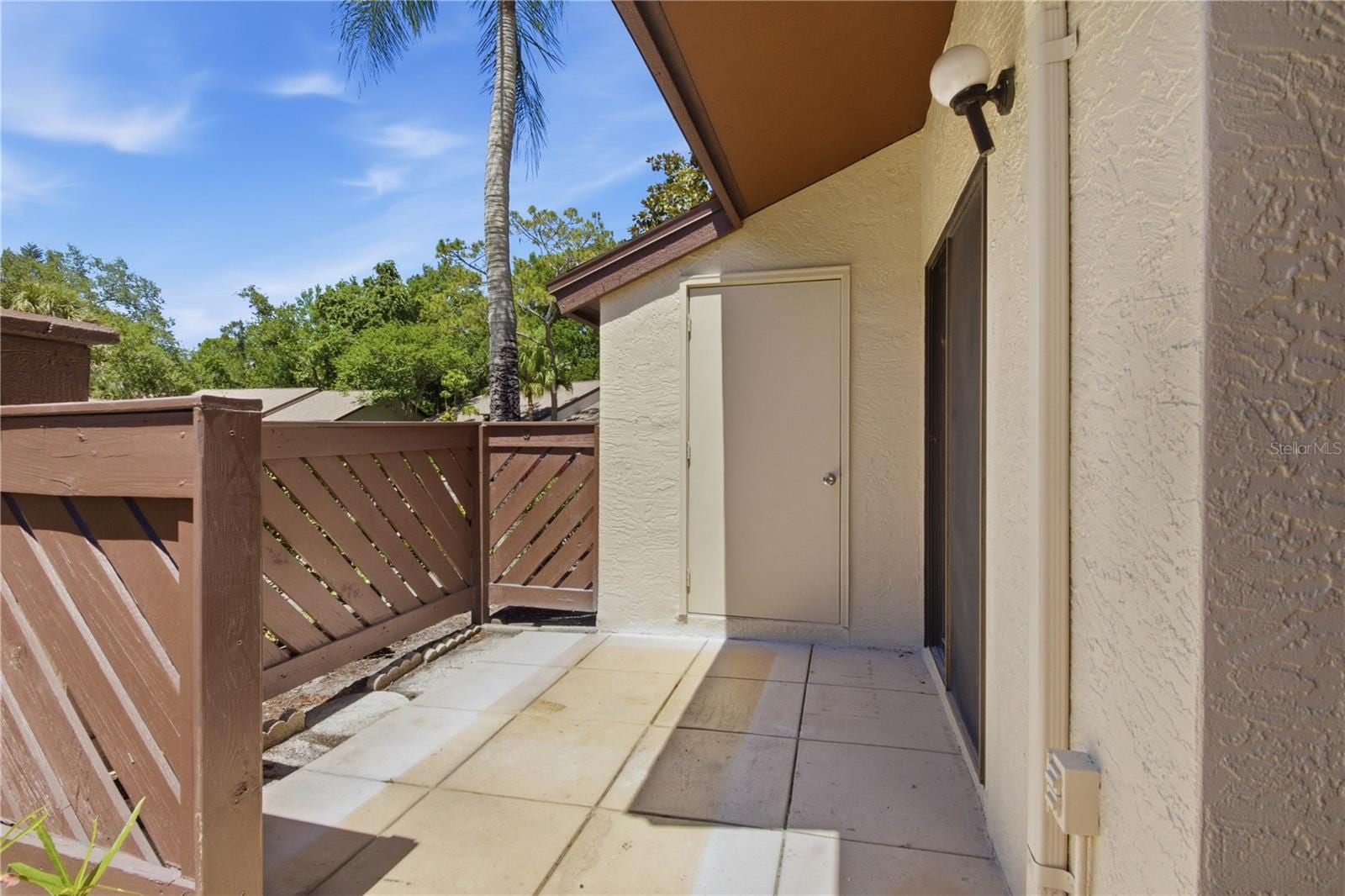 2909 Fig CT photo 4