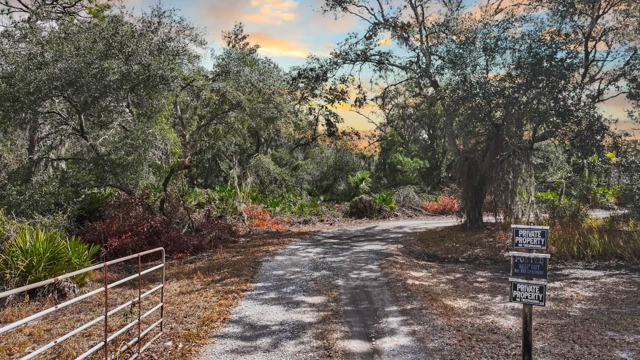 12730 Bullfrog Creek Rd photo 4