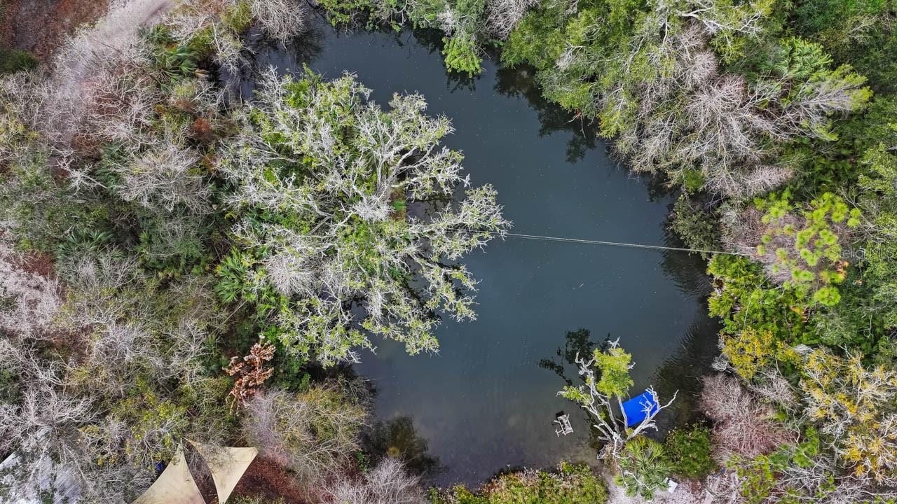 12730 Bullfrog Creek Rd photo 5