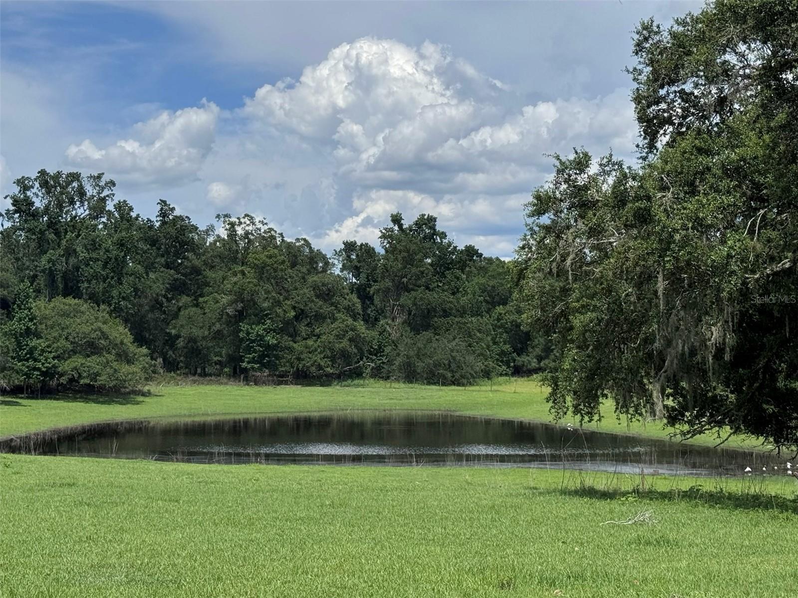 20716 Ramer Rd photo 1