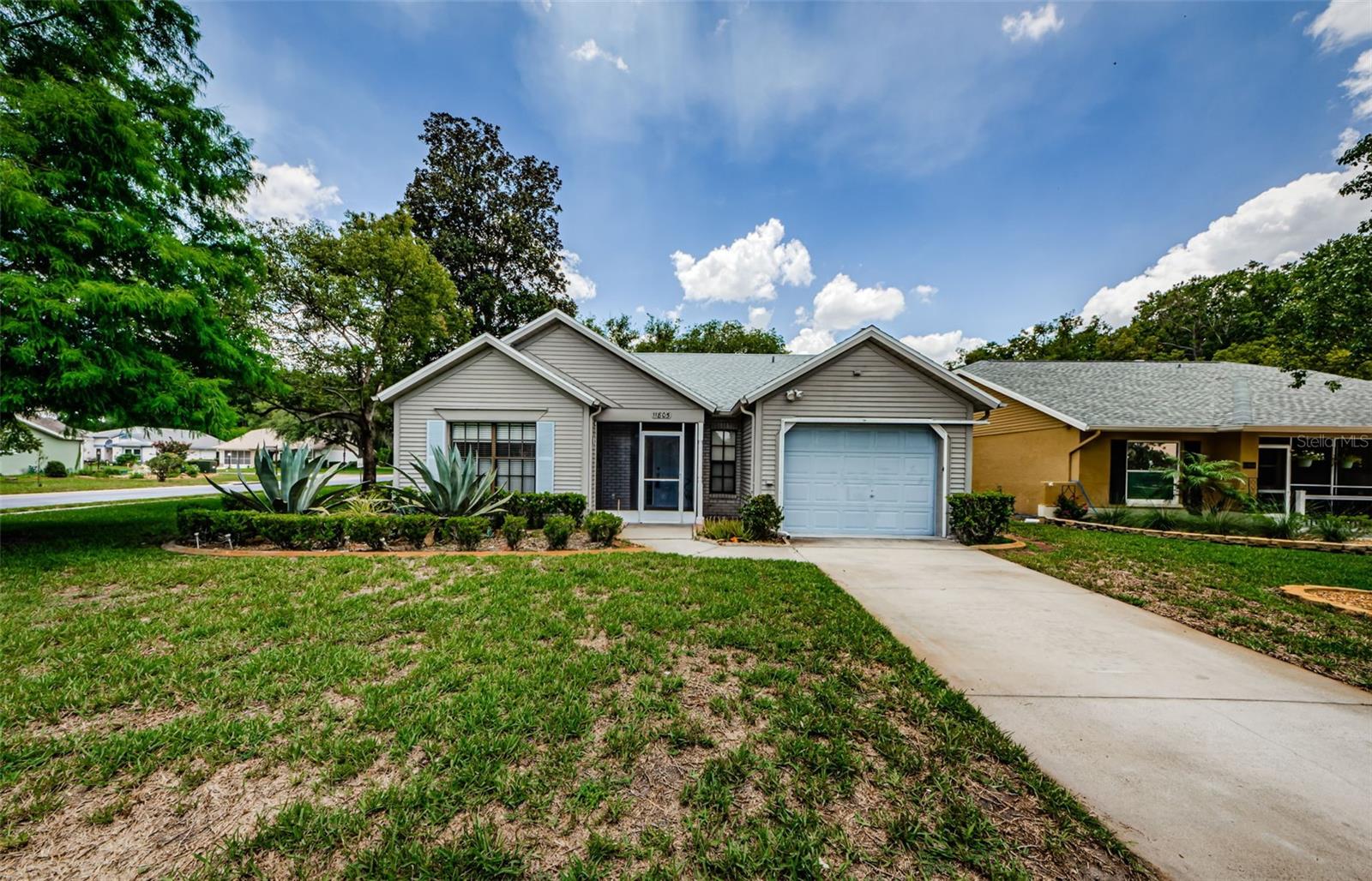 11805 Loblolly Pine Dr photo 1