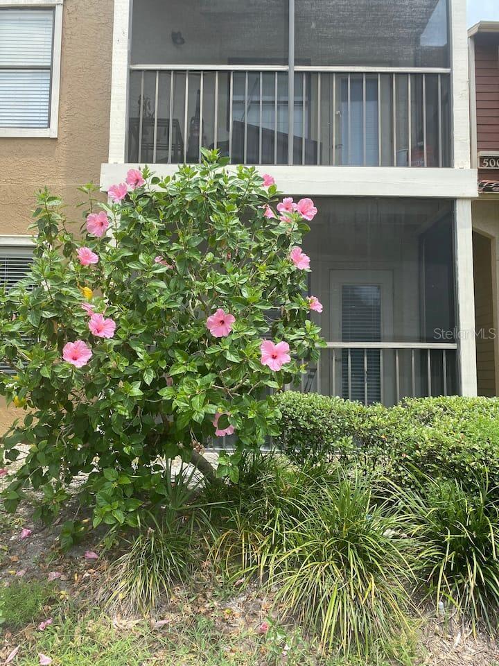 11901 4th St N #5101 photo 1