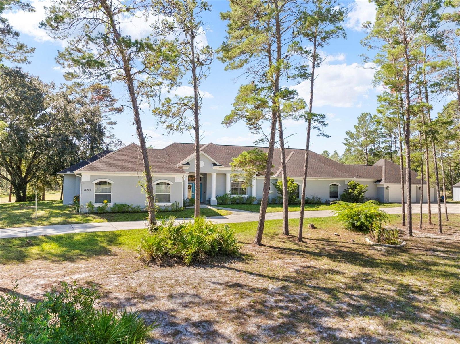 11200 Woodland Waters Blvd photo 1