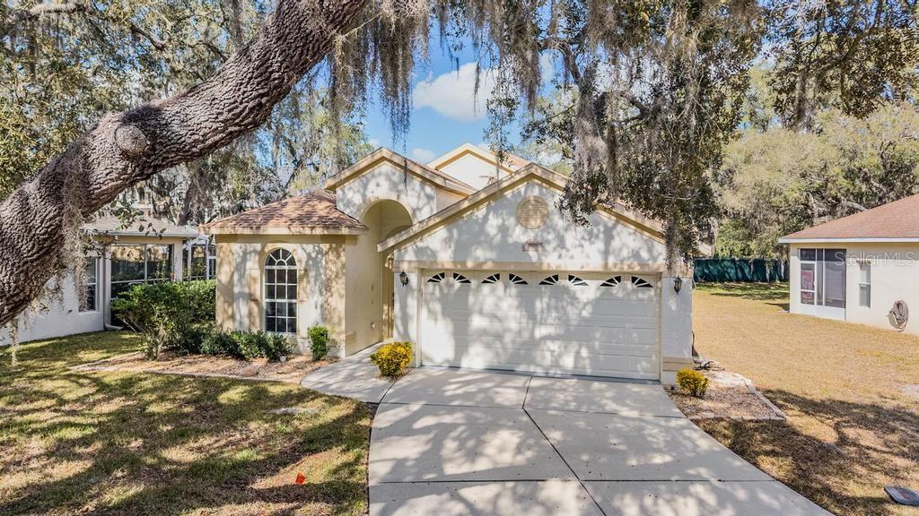 16501 Sandhill Crane Dr photo 1